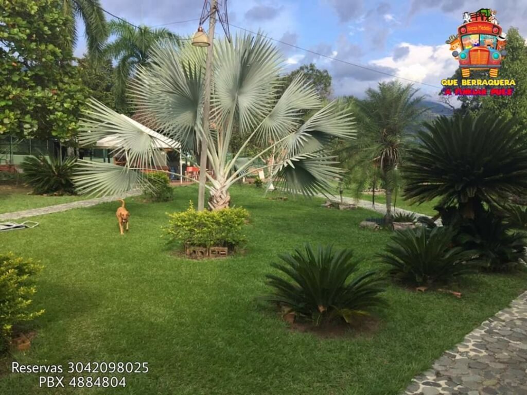 Foto de la finca