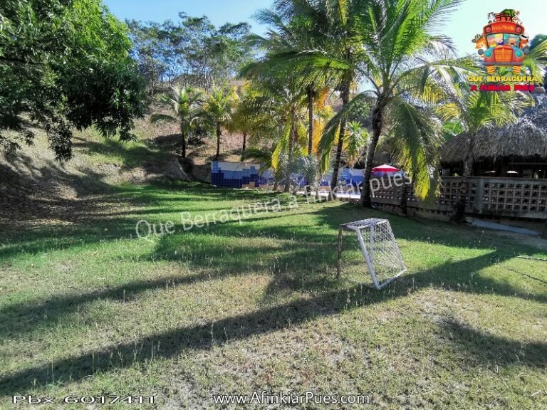 Foto de la finca