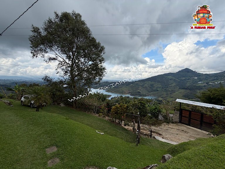 Foto de la finca
